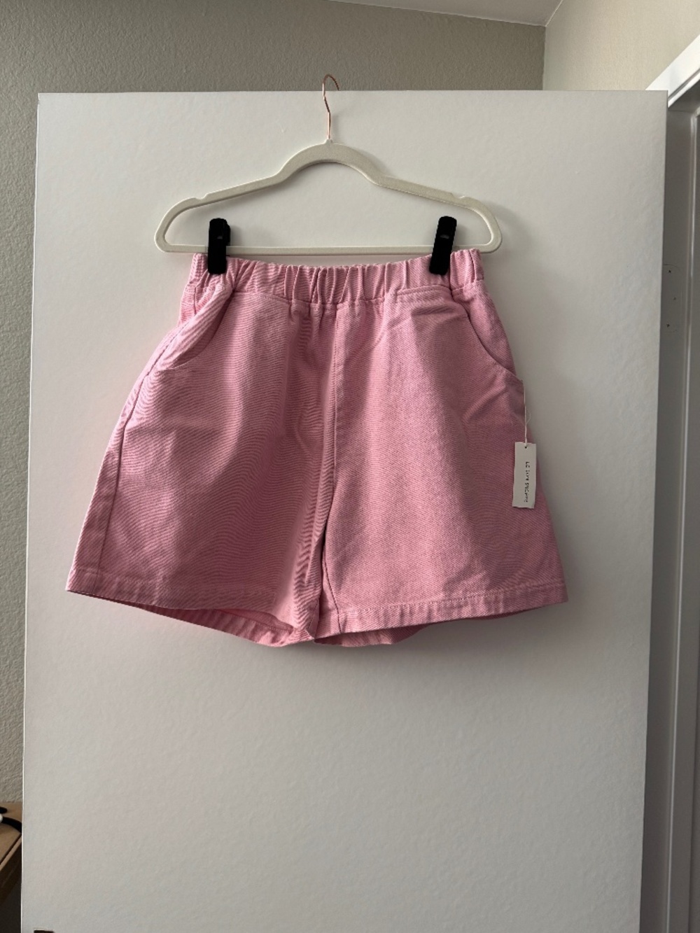 Le Bon Shoppe City Shorts Pink Size L NWT